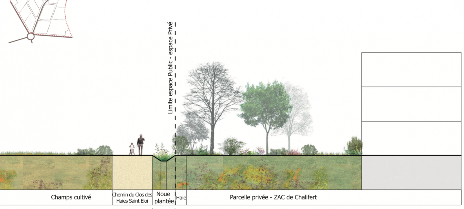 Coupe prévisionnelle du projet (Urbanéa)