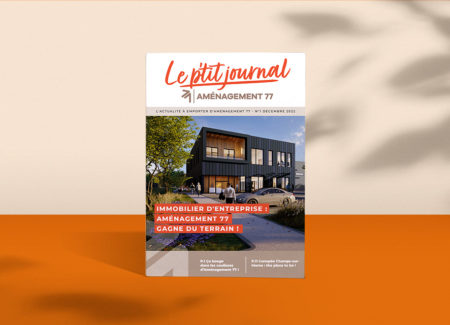 Le p'tit journal - spécial immobilier d'entreprise